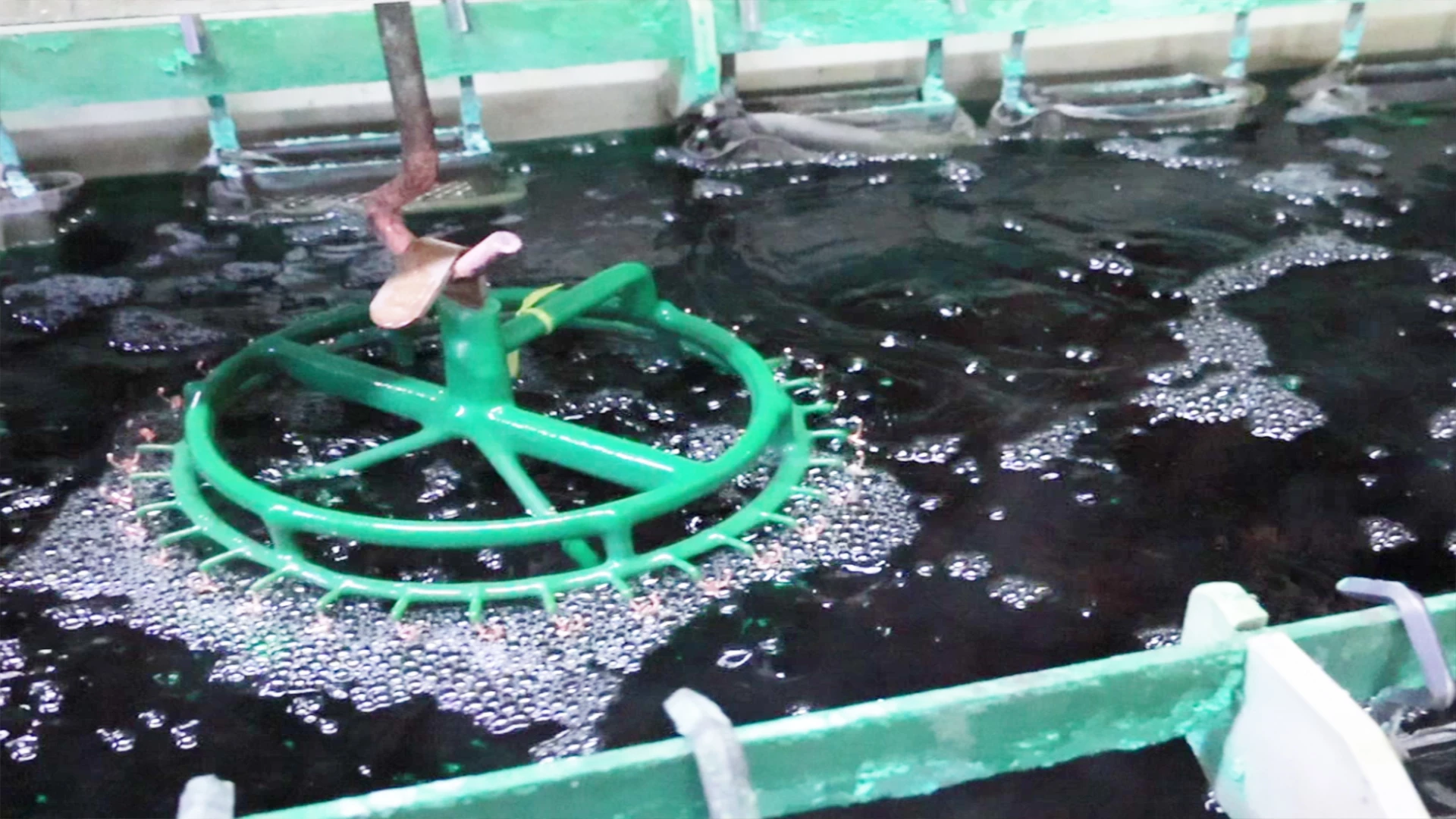 12. Activation Tank