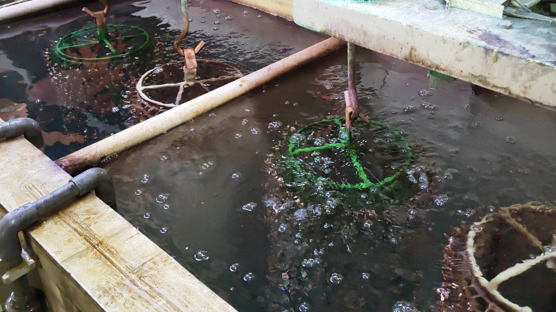 4-2. Ultrasonic Wax Removal (Alternative to the sulfuric acid tank)